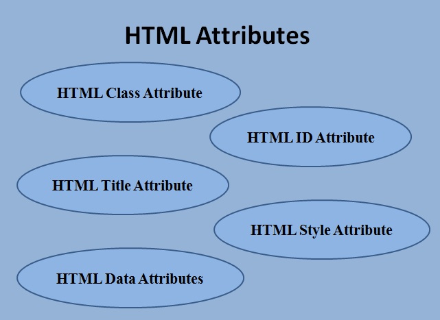 Mastering HTML Attributes: A Step-by-Step Guide to Building Dynamic and Accessible Web Pages