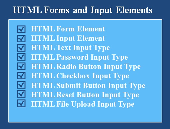 Step-by-Step Guide to HTML Forms and Input Elements